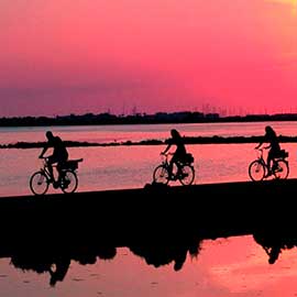Hotel Bahia Formentera